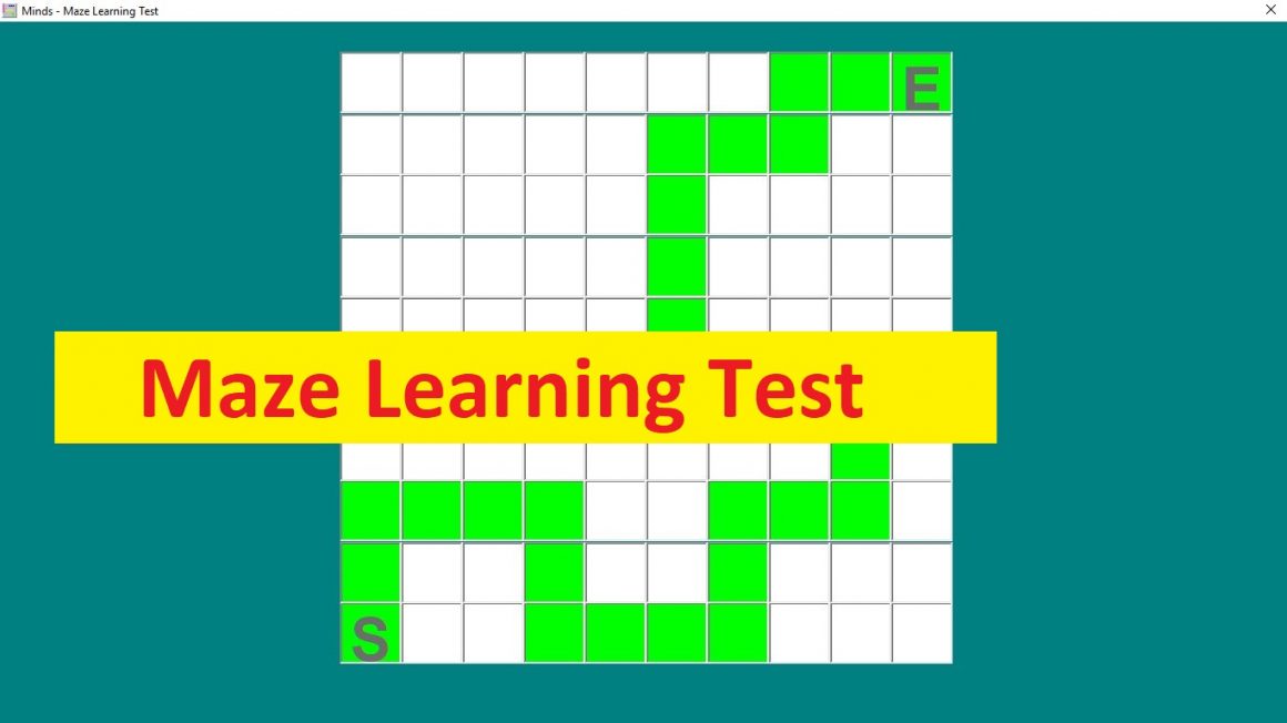 MAZE: Maze Learning Test – Testmanager MINDS