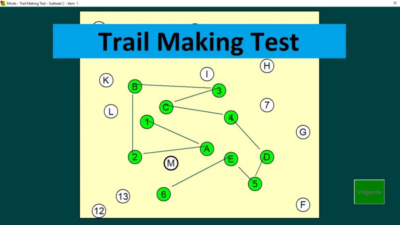 TMT: Trail Making Test – Testmanager MINDS